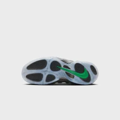 Air Foamposite Pro