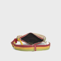 WGACA Dior Canvas Rasta Saddle Pochette
